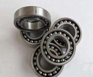 Cheap 306TN Bearing